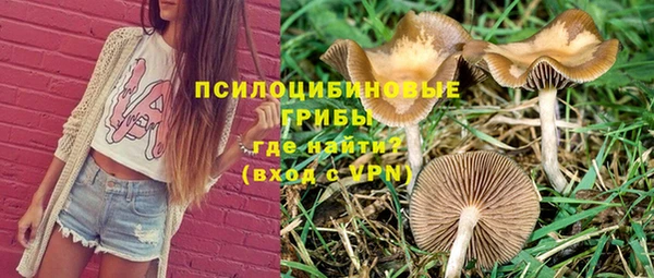 тгк Абаза