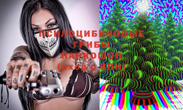дмт Алексин