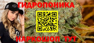 PSILOCYBIN Новокубанск