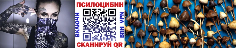 Галлюциногенные грибы прущие грибы  купить   Тулун 