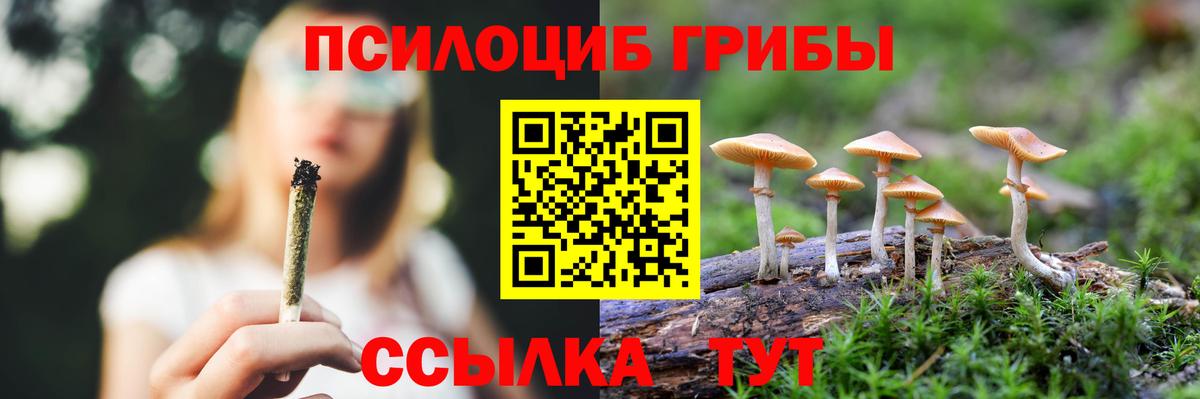 Галлюциногенные грибы прущие грибы  Вход с VPN  Тулун 