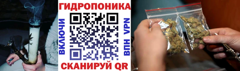 ОМГ ОМГ   наркота  Тулун  Каннабис тримм 