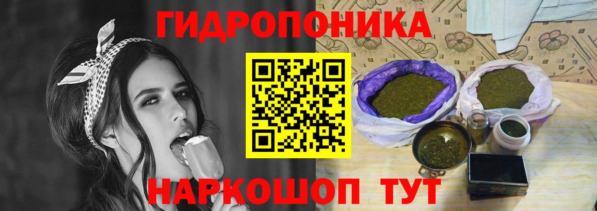 Конопля план Тулун